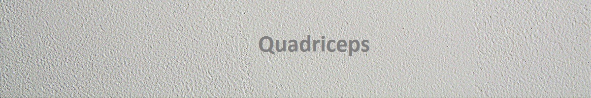 Quadriceps Muscles